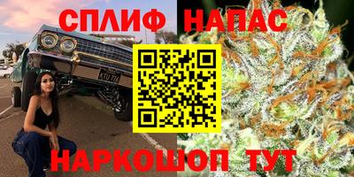 кокс Кандалакша