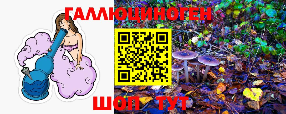 Псилоцибиновые грибы Psilocybine cubensis  Вход с VPN  Кашира 